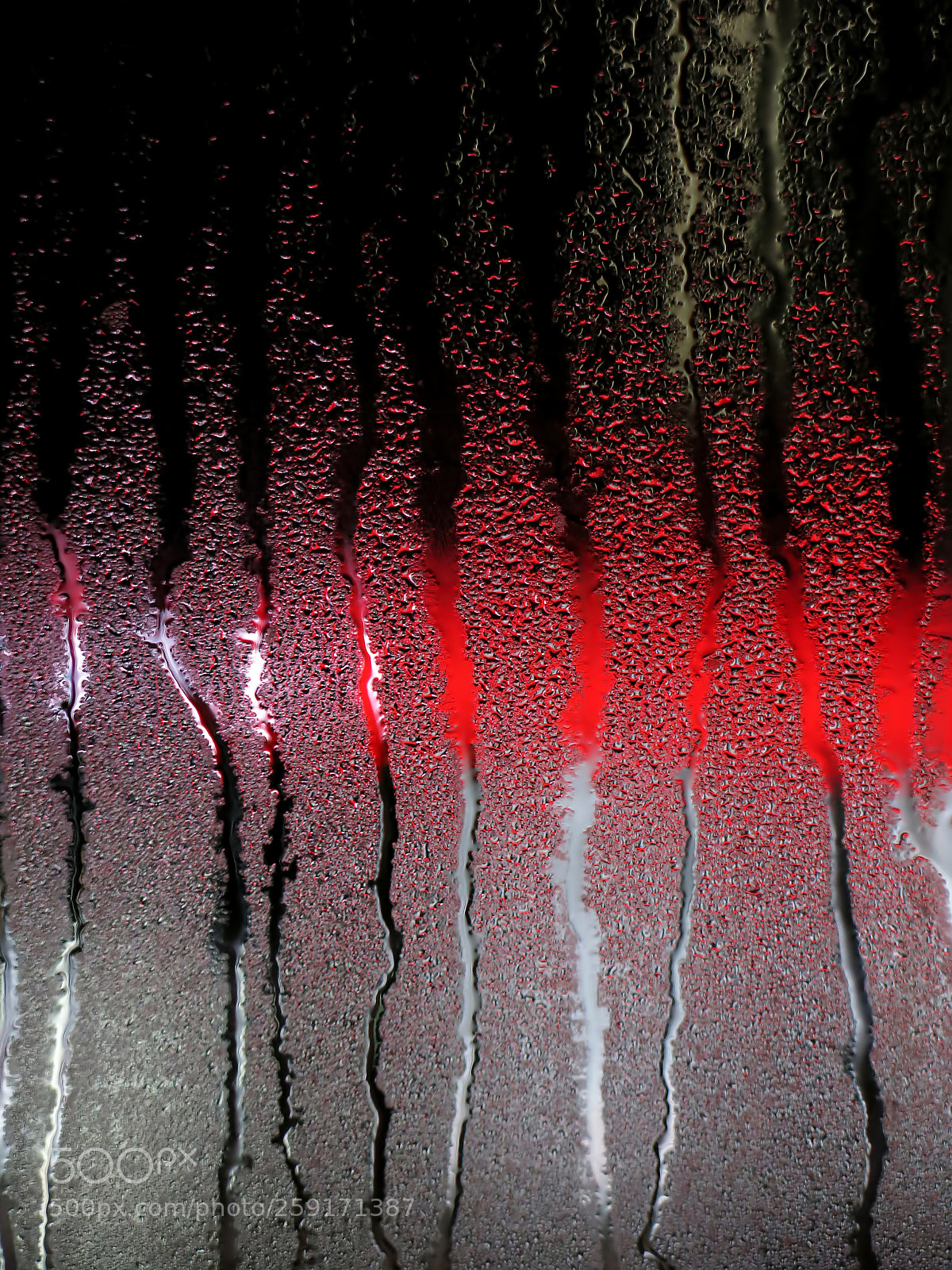Canon PowerShot G15 sample photo. Condensation after the rain photography