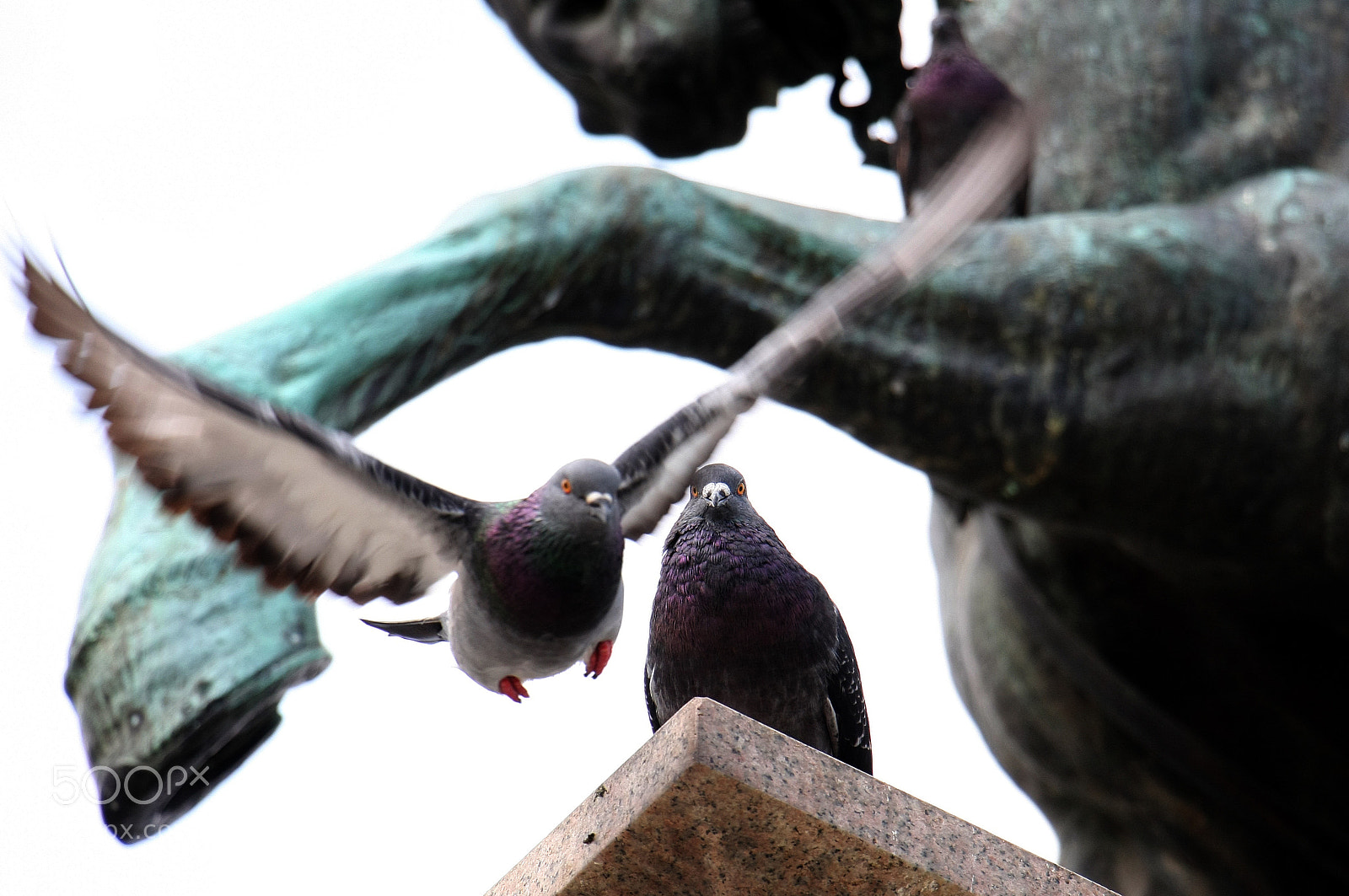 Canon EOS 40D sample photo. Img photography
