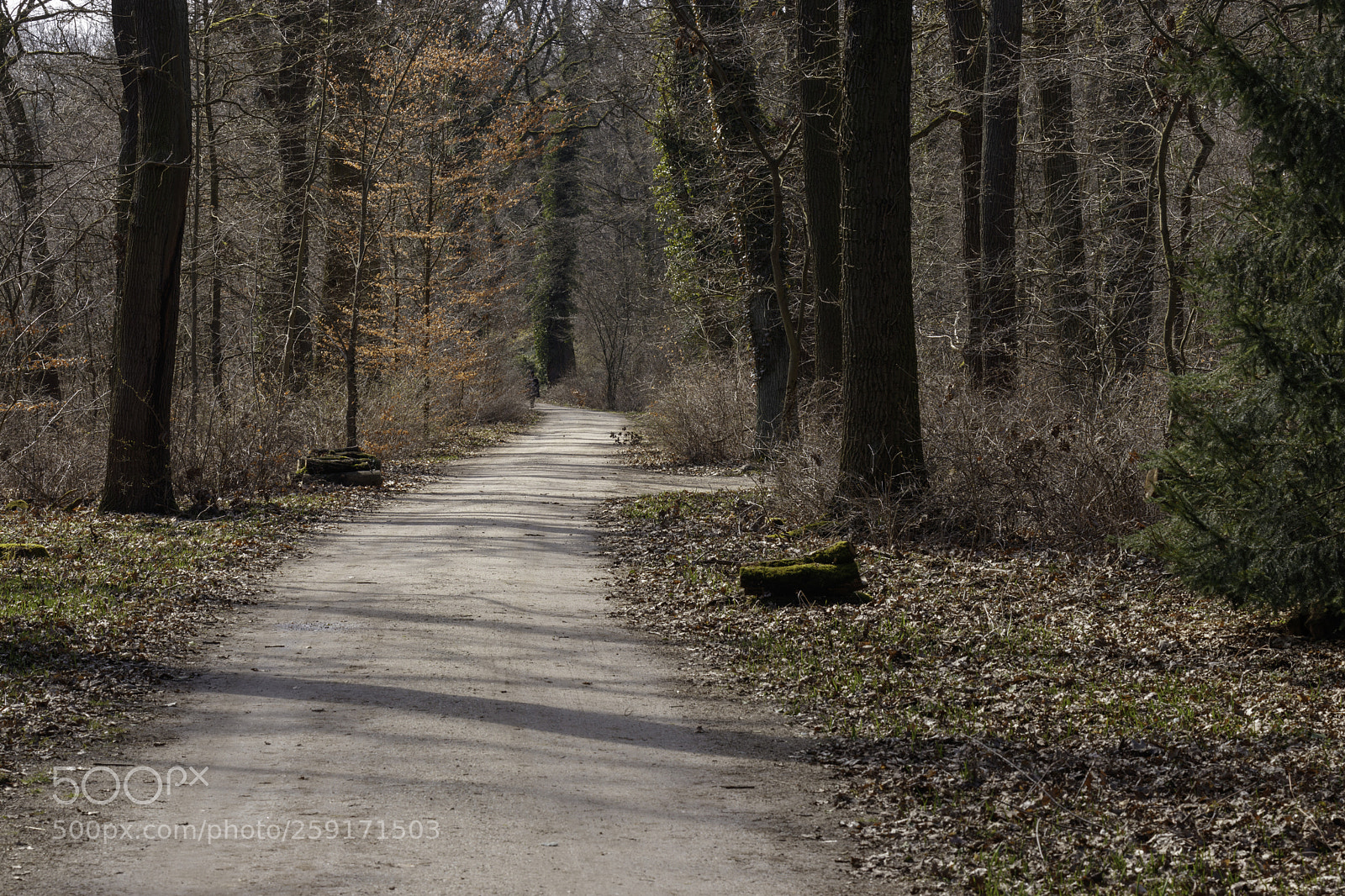Canon EOS 80D sample photo. Berlin photography