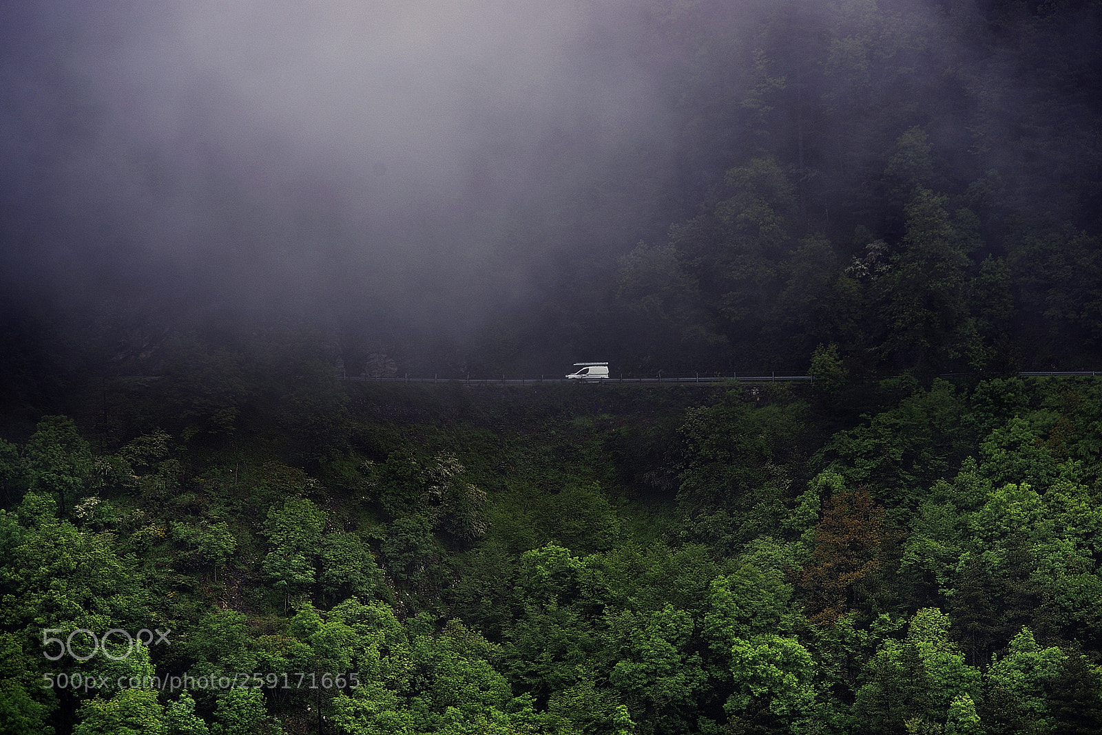 Nikon D600 sample photo. Fugitive photography