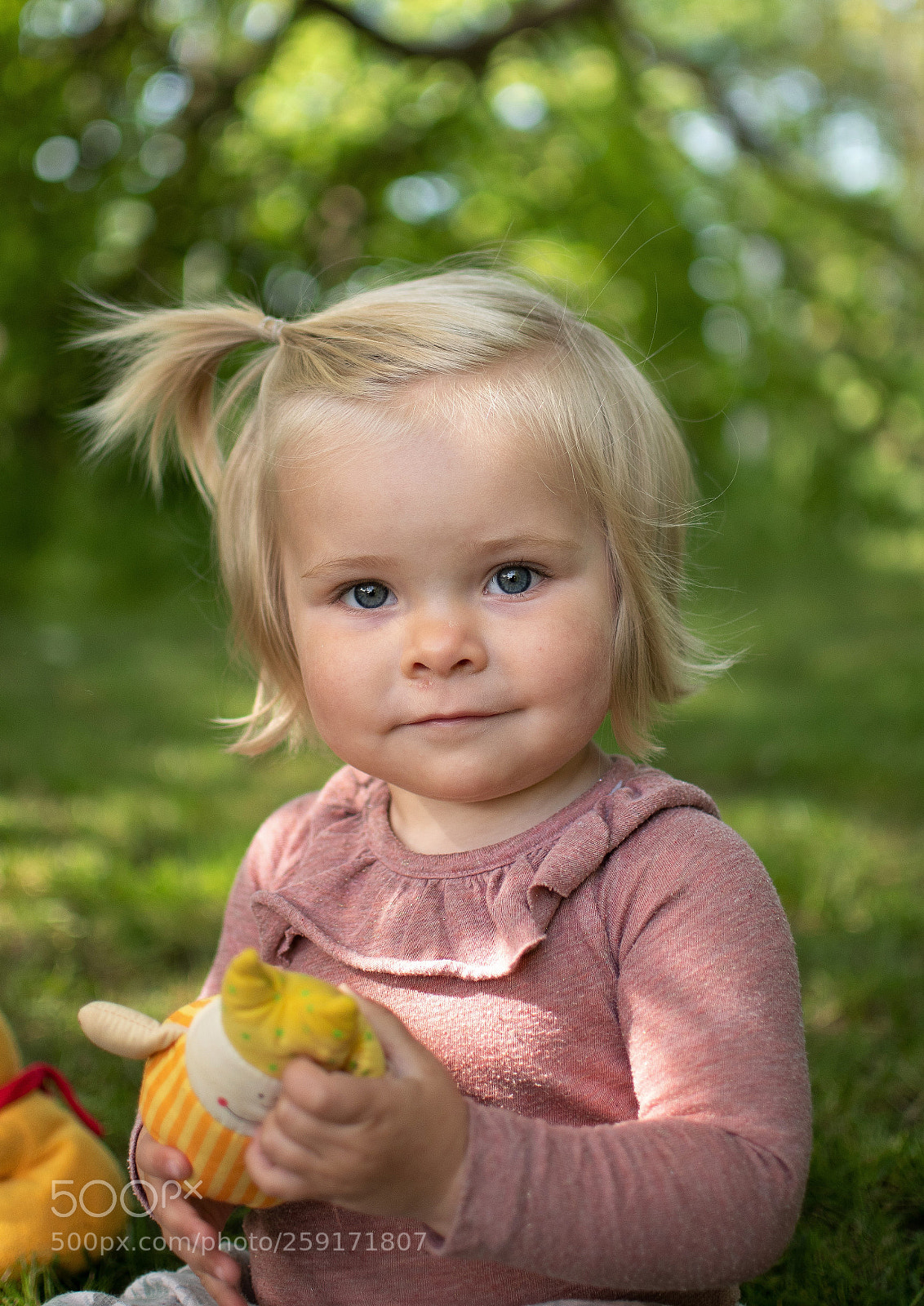 Nikon D500 sample photo. Meet dagmar photography