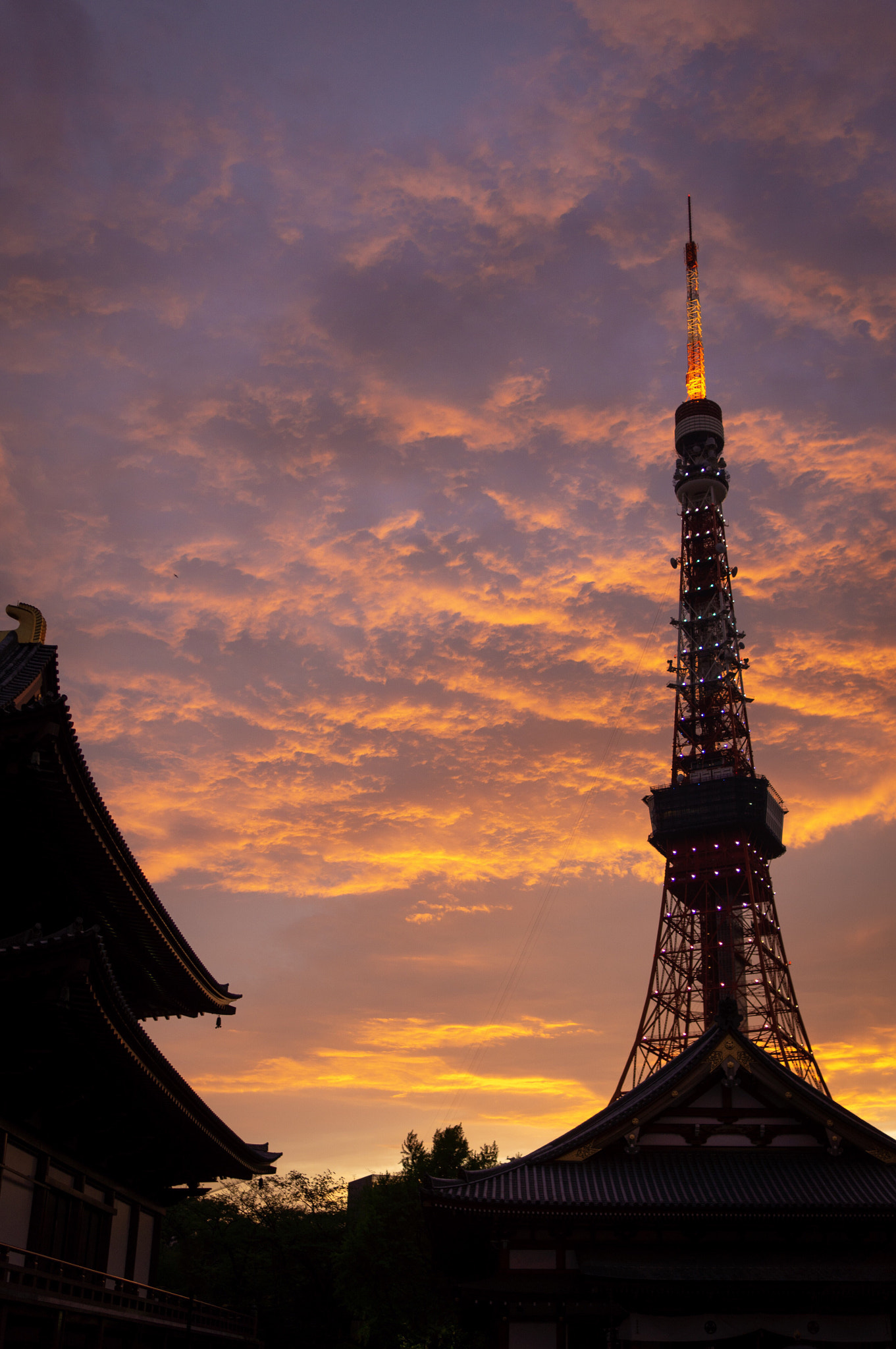 Sony Alpha NEX-5N sample photo. Tokyo tower photography