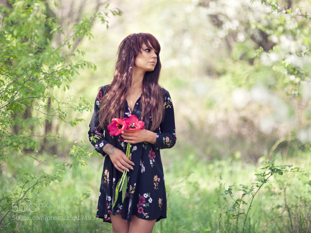 Canon EOS 5D Mark II sample photo. *** photography