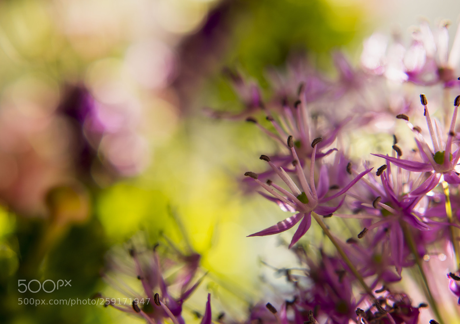 Nikon D3400 sample photo. Colours photography