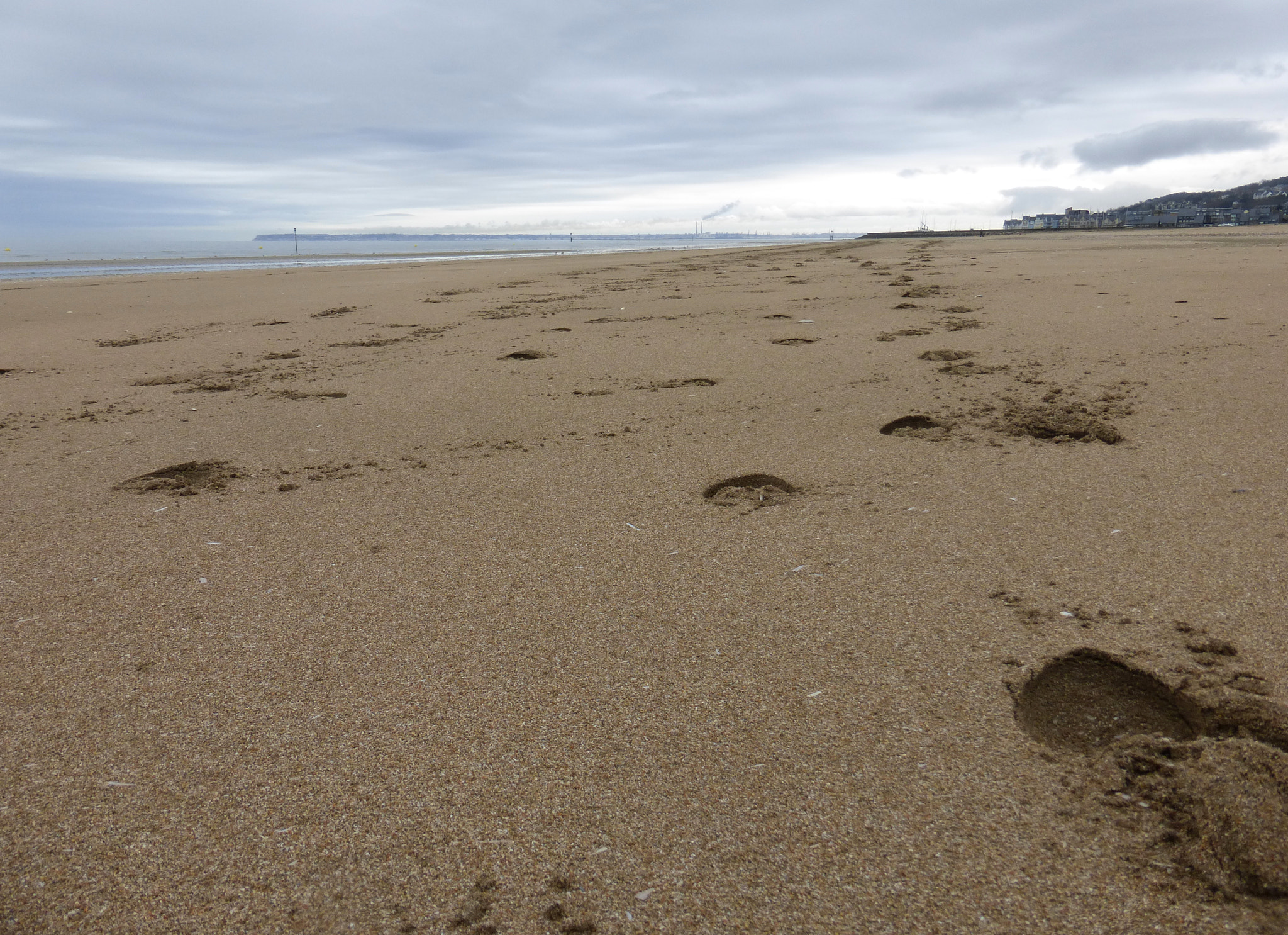 Panasonic DMC-TZ36 sample photo. Traces in the sand photography