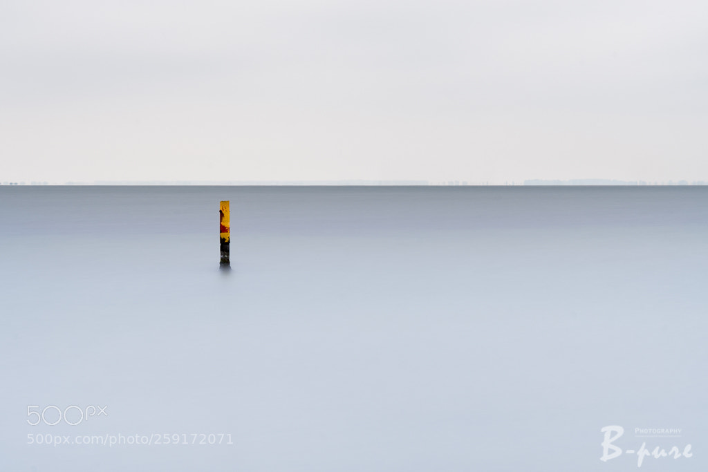 Nikon D500 sample photo. The beauty of minimalism photography