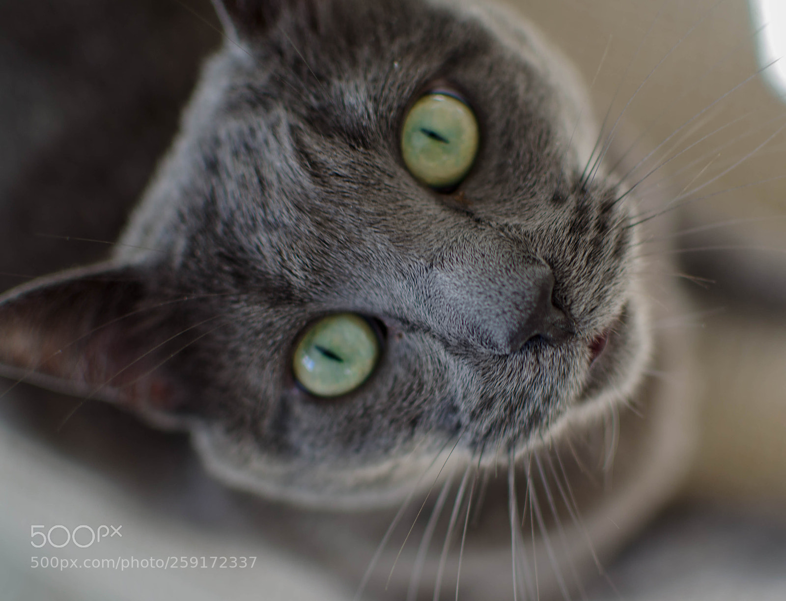 Nikon D5100 sample photo. Mar photography