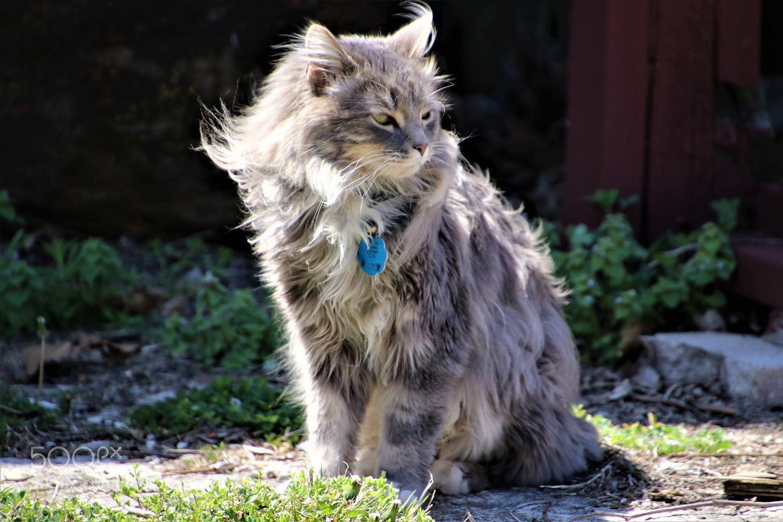 Canon EOS 80D sample photo. Wind blown hunter photography