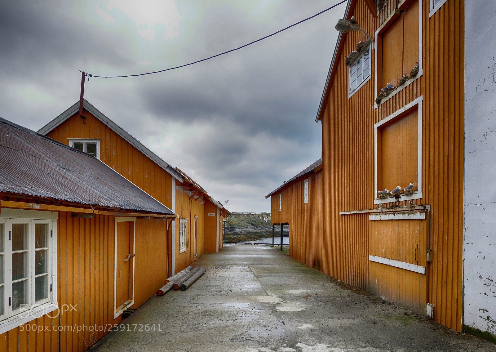 Nikon D800 sample photo. Yellow houses photography