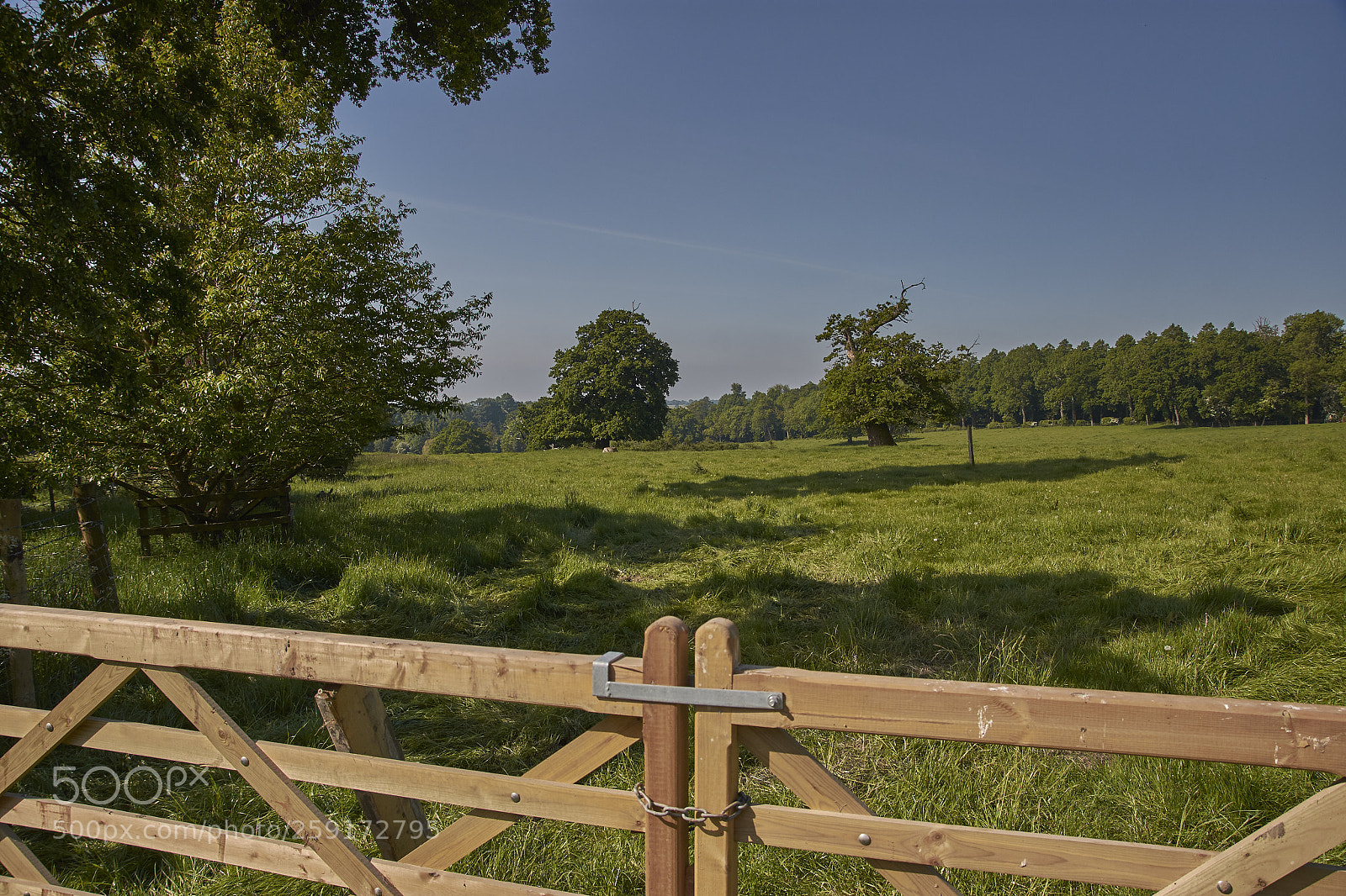 Nikon D7200 sample photo. Summer countryside photography