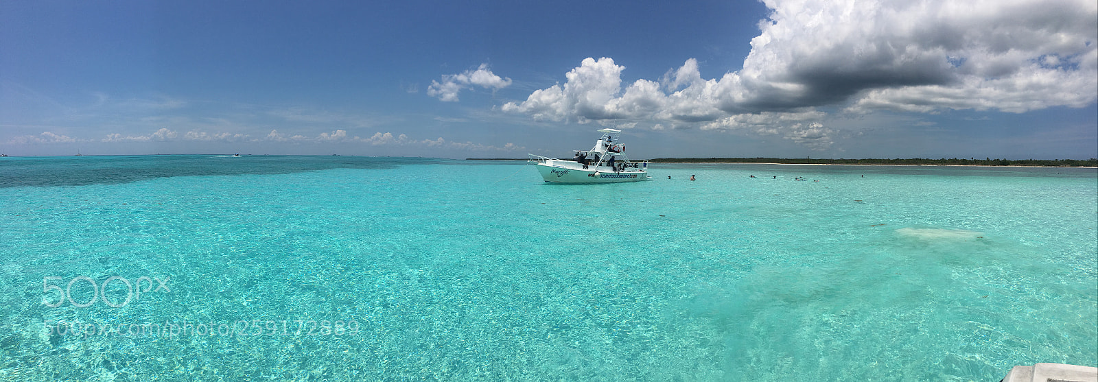 Apple iPhone 6s Plus sample photo. Img photography