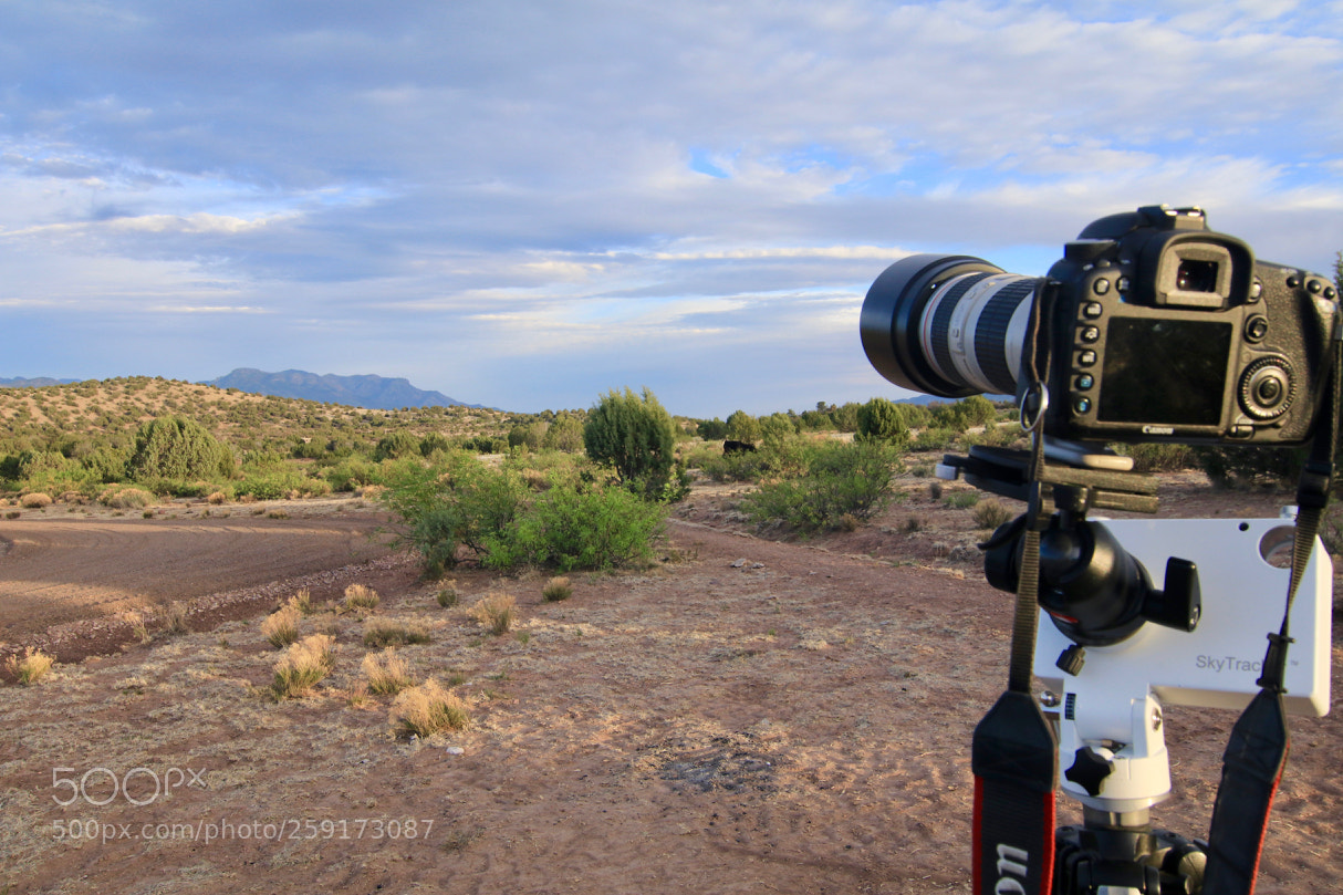Canon EOS 80D sample photo. Img photography