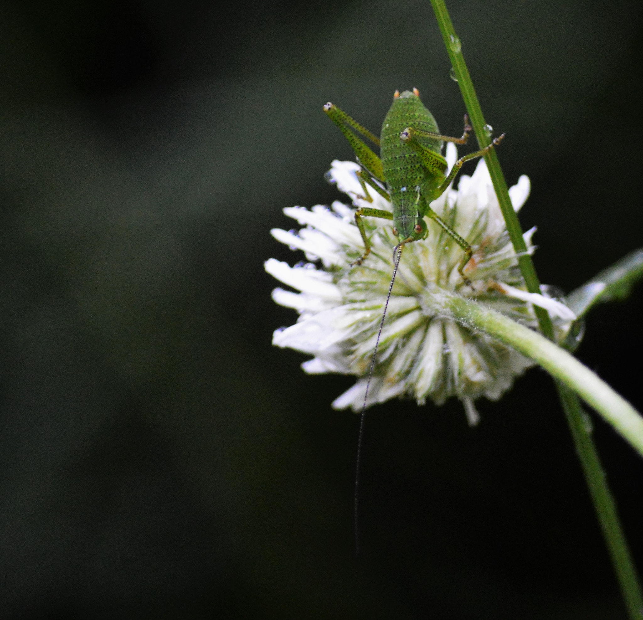 Nikon D3200 sample photo