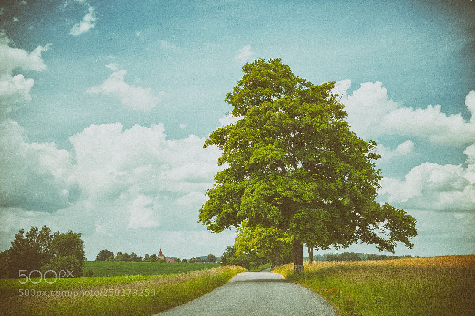 Nikon D300 sample photo. The way home photography
