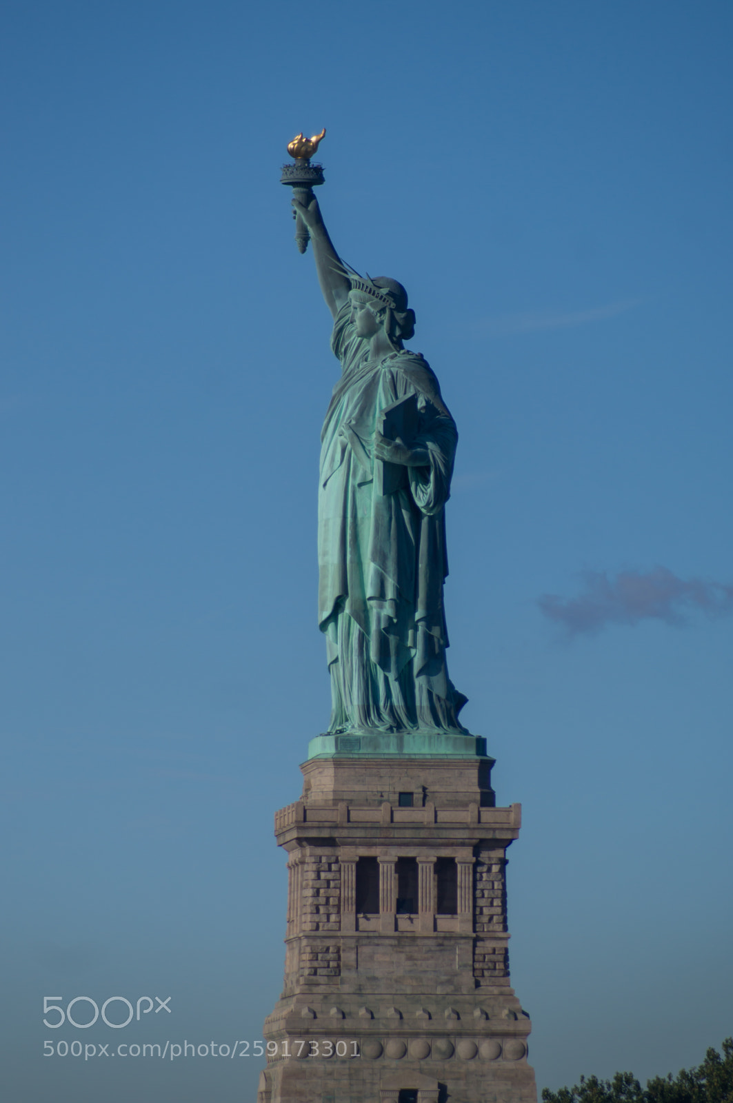 Sony SLT-A37 sample photo. The statue of liberty photography