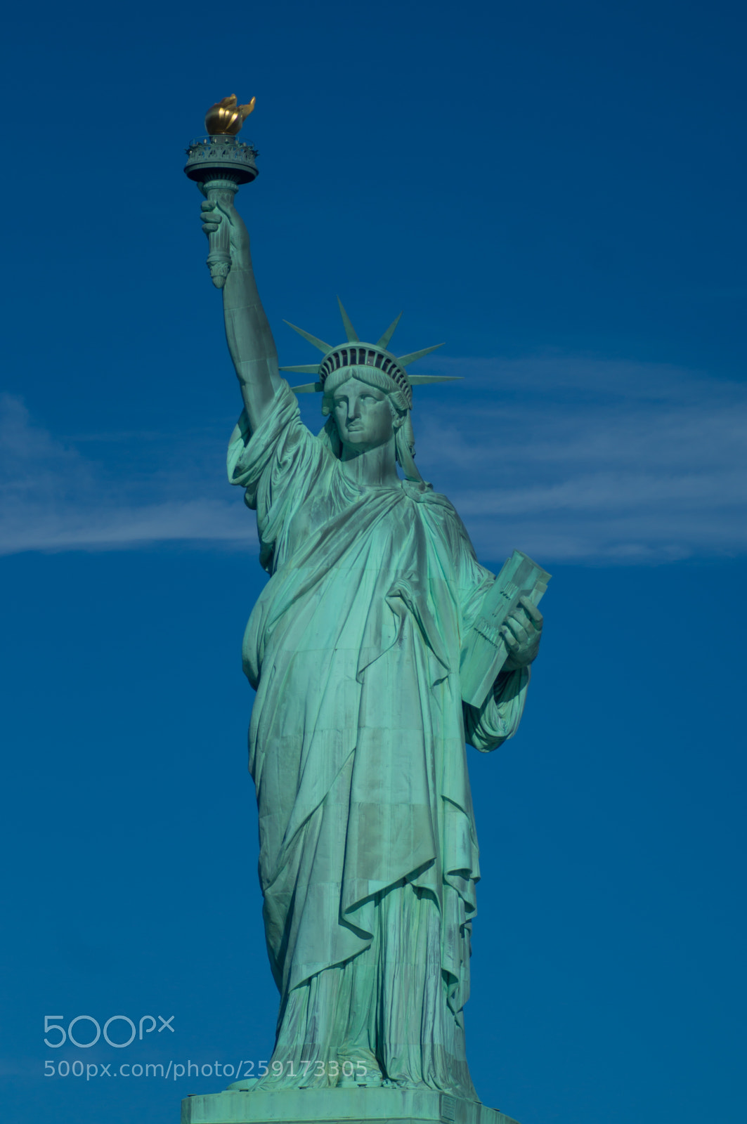Sony SLT-A37 sample photo. The statue of liberty photography