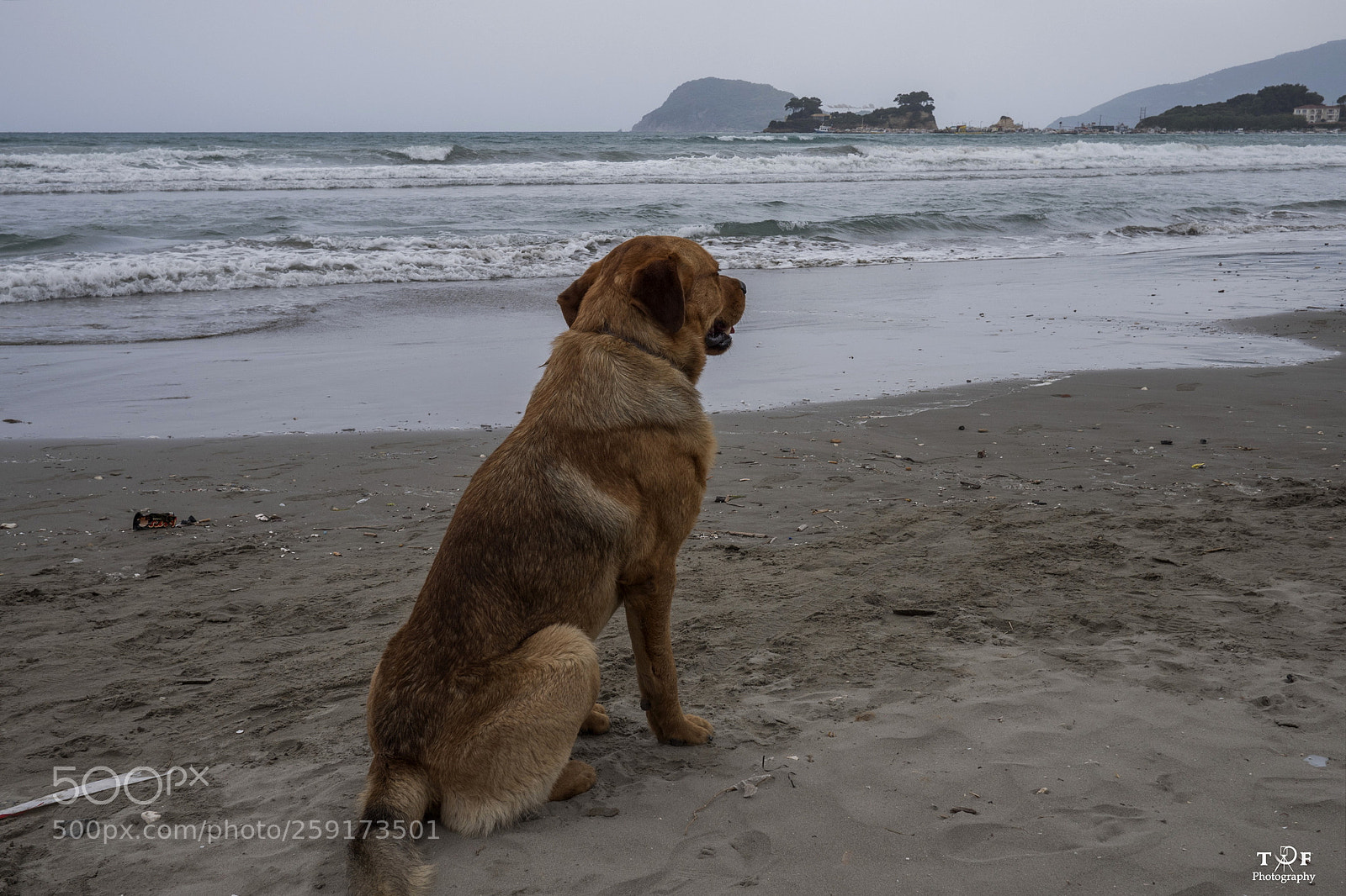 Panasonic Lumix DMC-GX8 sample photo. Untitled photography