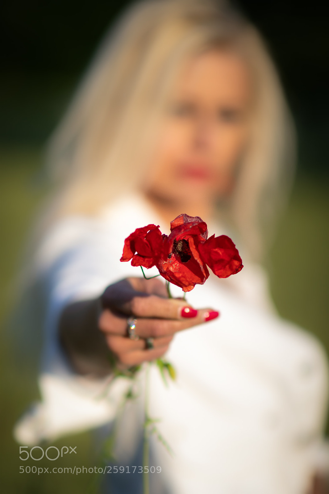 Canon EOS 5D Mark IV sample photo. Monika photography
