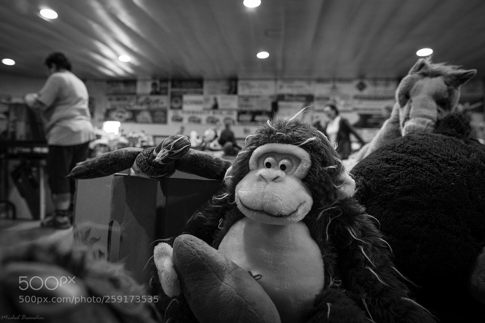 Canon EOS 6D sample photo. Bazar ste-martine photography