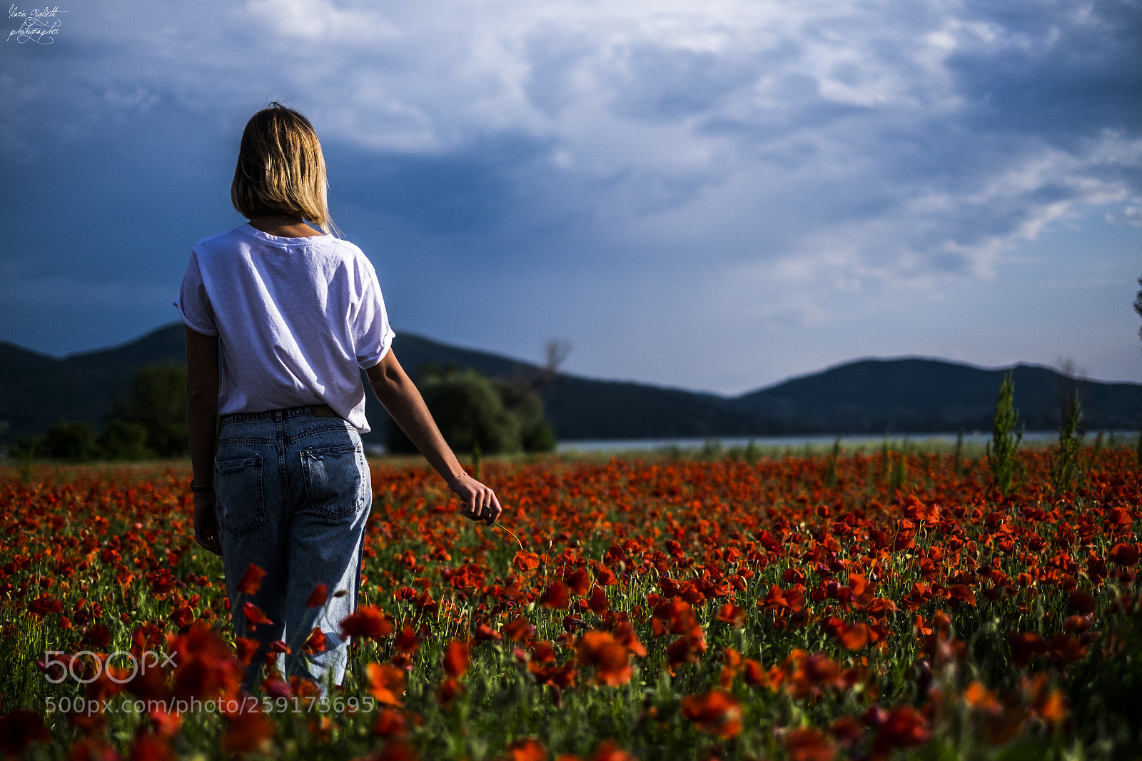Fujifilm X-T1 sample photo. Eugenia photography
