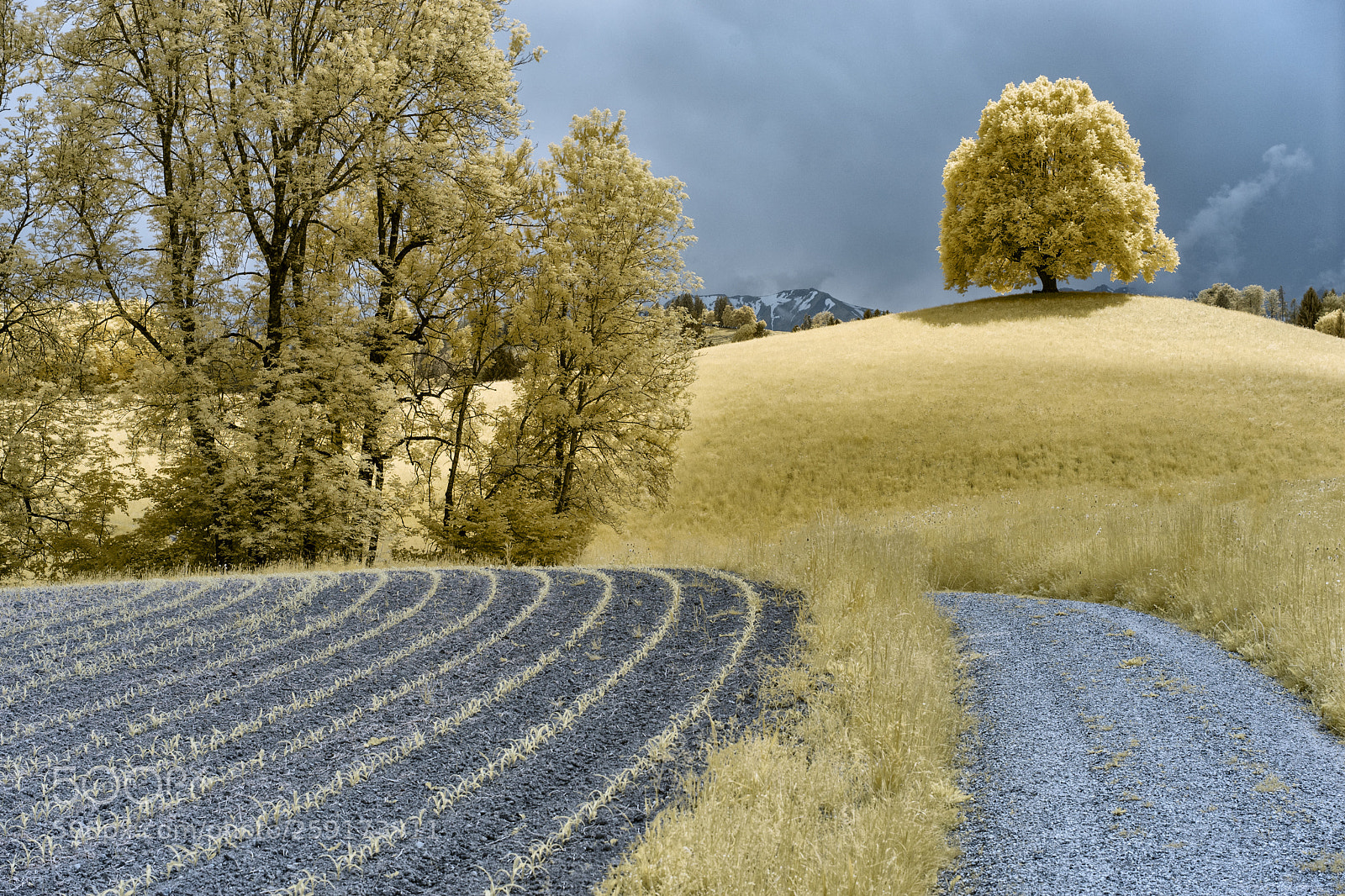 Sony a7 sample photo. Bucolic ir photography
