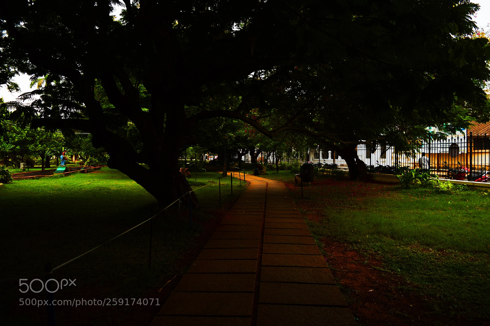 Nikon D3300 sample photo. Shadow garden photography