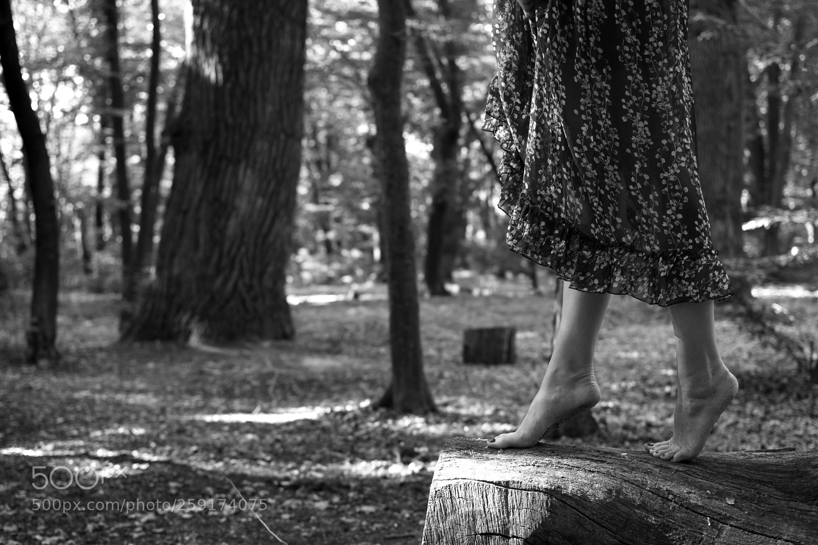 Nikon D7100 sample photo. Untitled photography