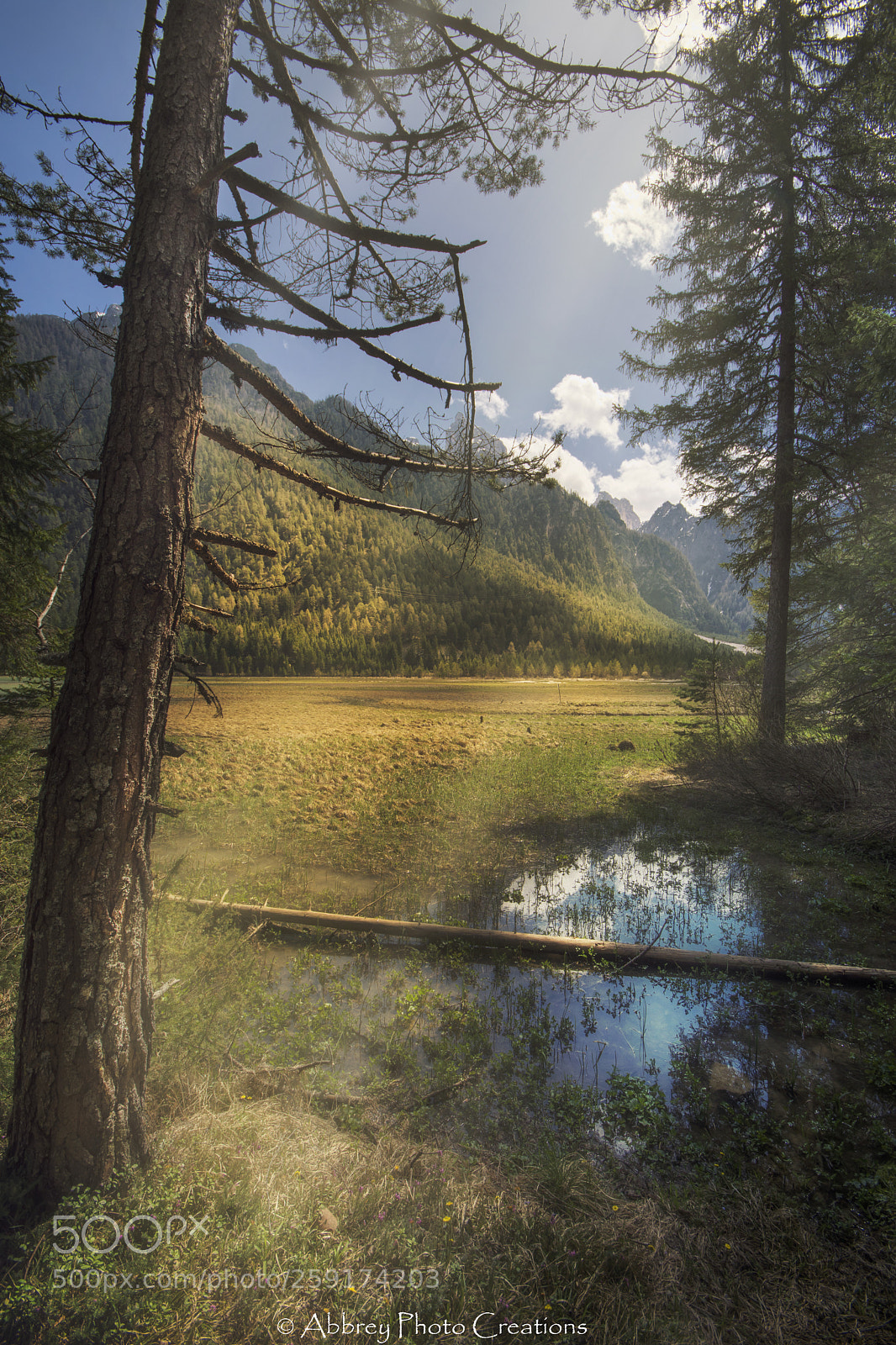 Nikon D7200 sample photo. Suddenly paradise photography