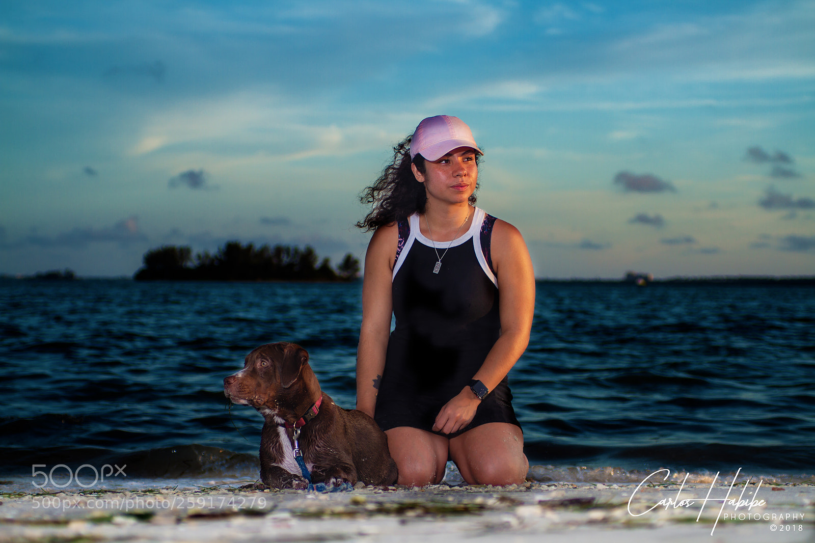 Canon EOS 7D sample photo. A pets life in photography