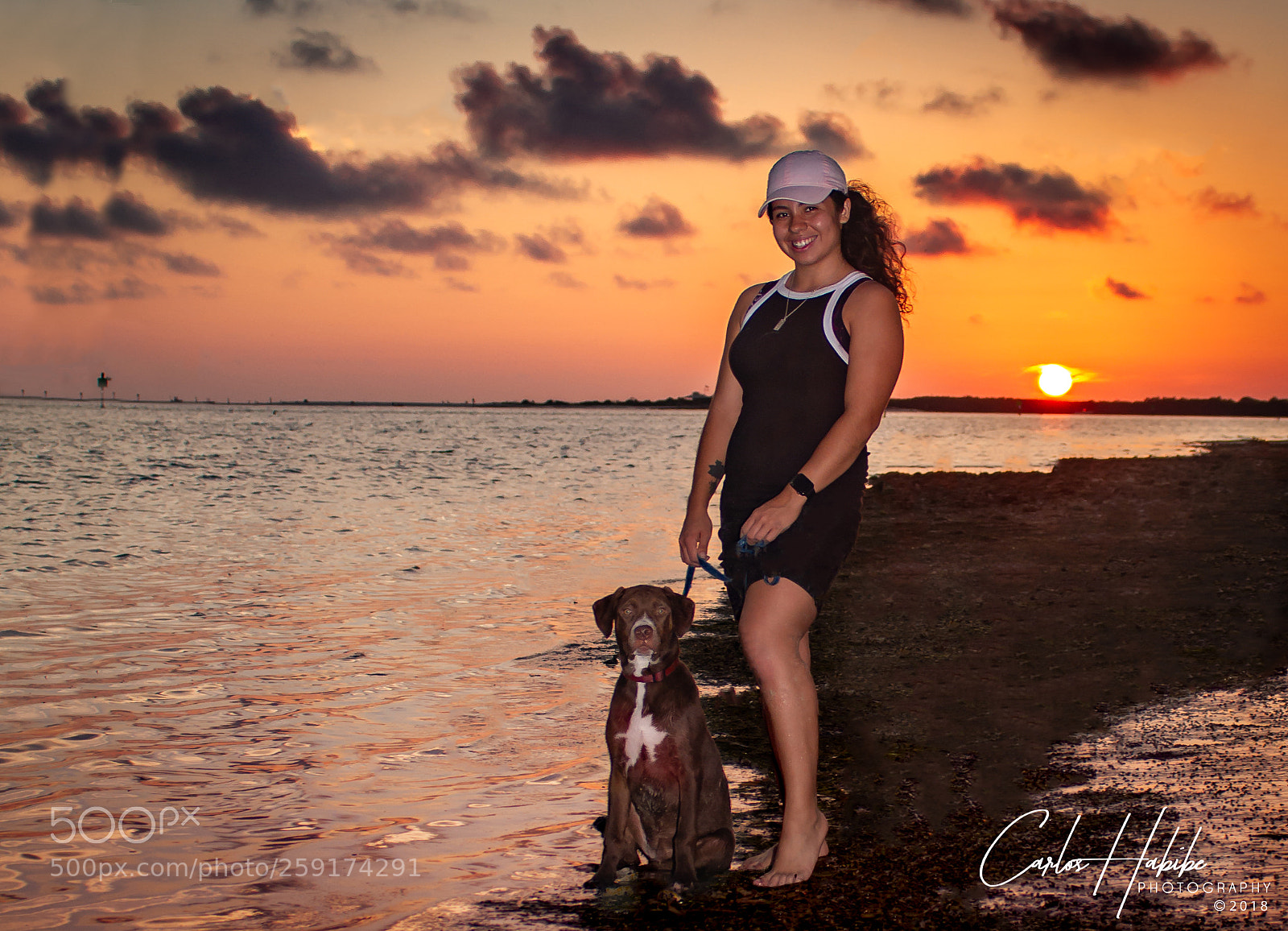 Canon EOS 7D sample photo. A pets life in photography