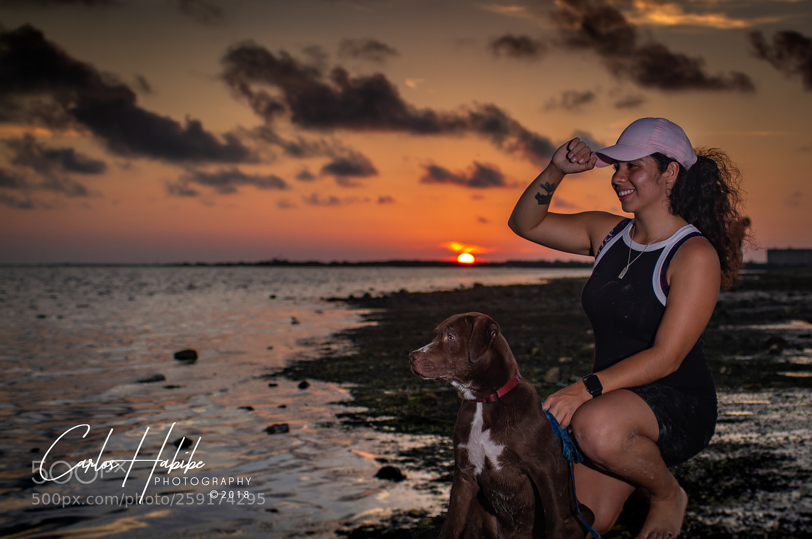 Canon EOS 7D sample photo. A pets life in photography