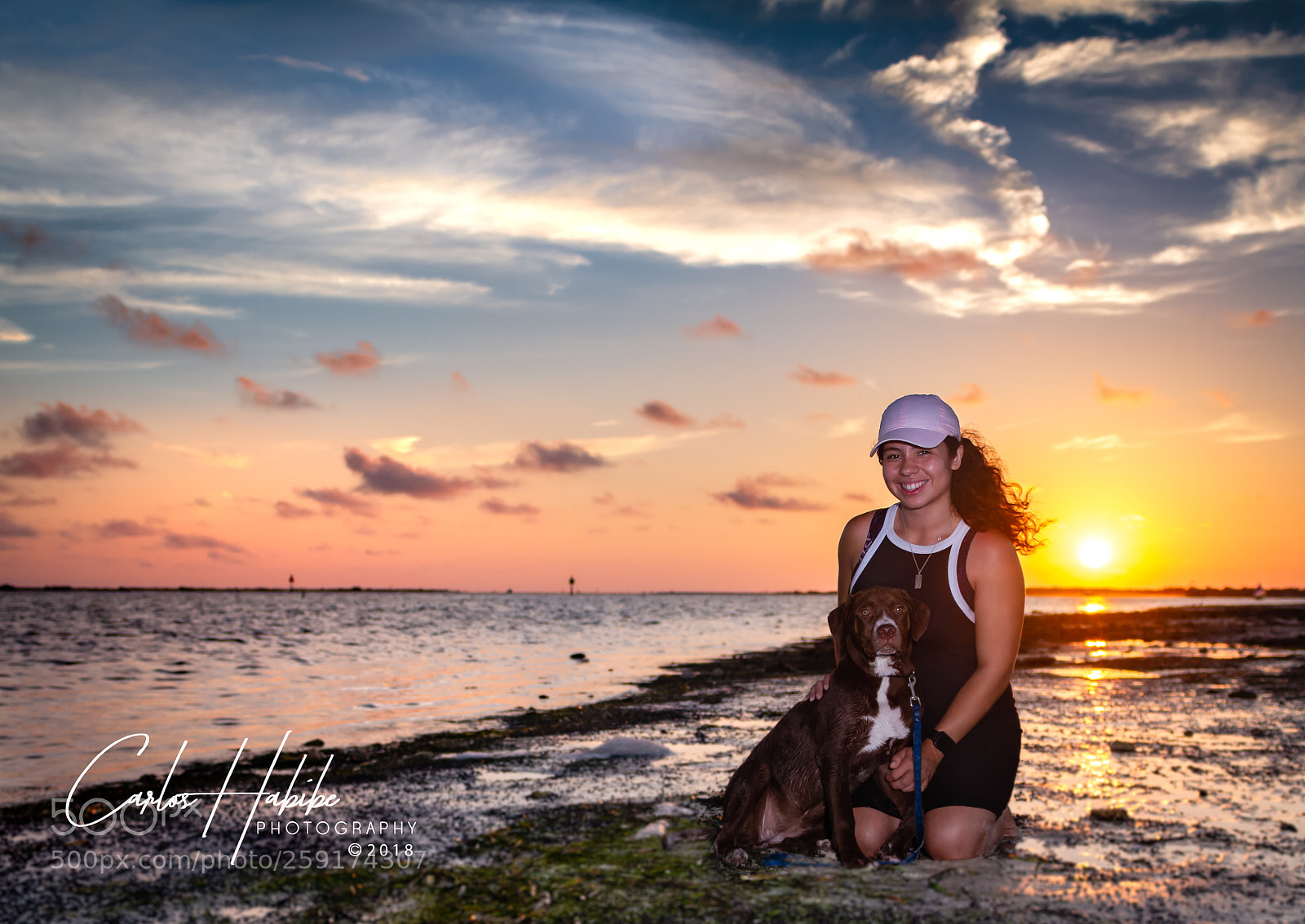 Canon EOS 7D sample photo. A pets life in photography