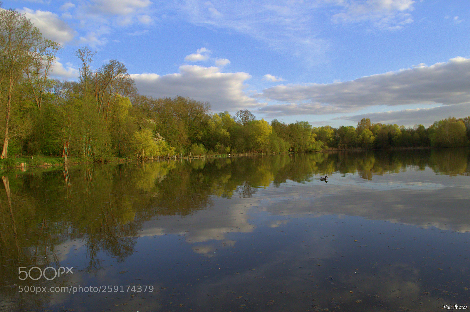 Nikon D3100 sample photo. Pond photography
