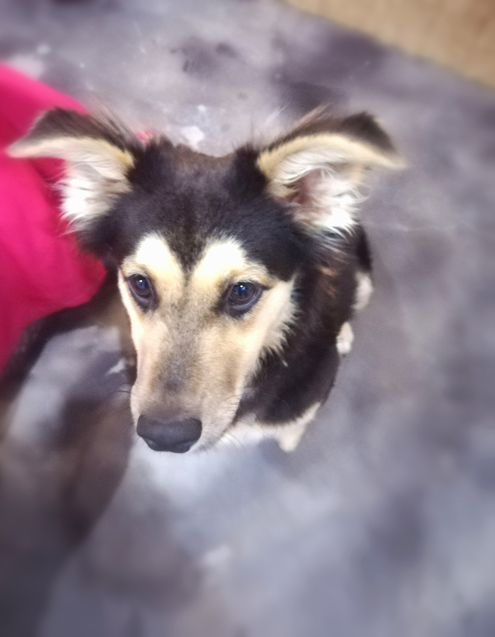 HUAWEI PRA-LX1 sample photo. Mde photography