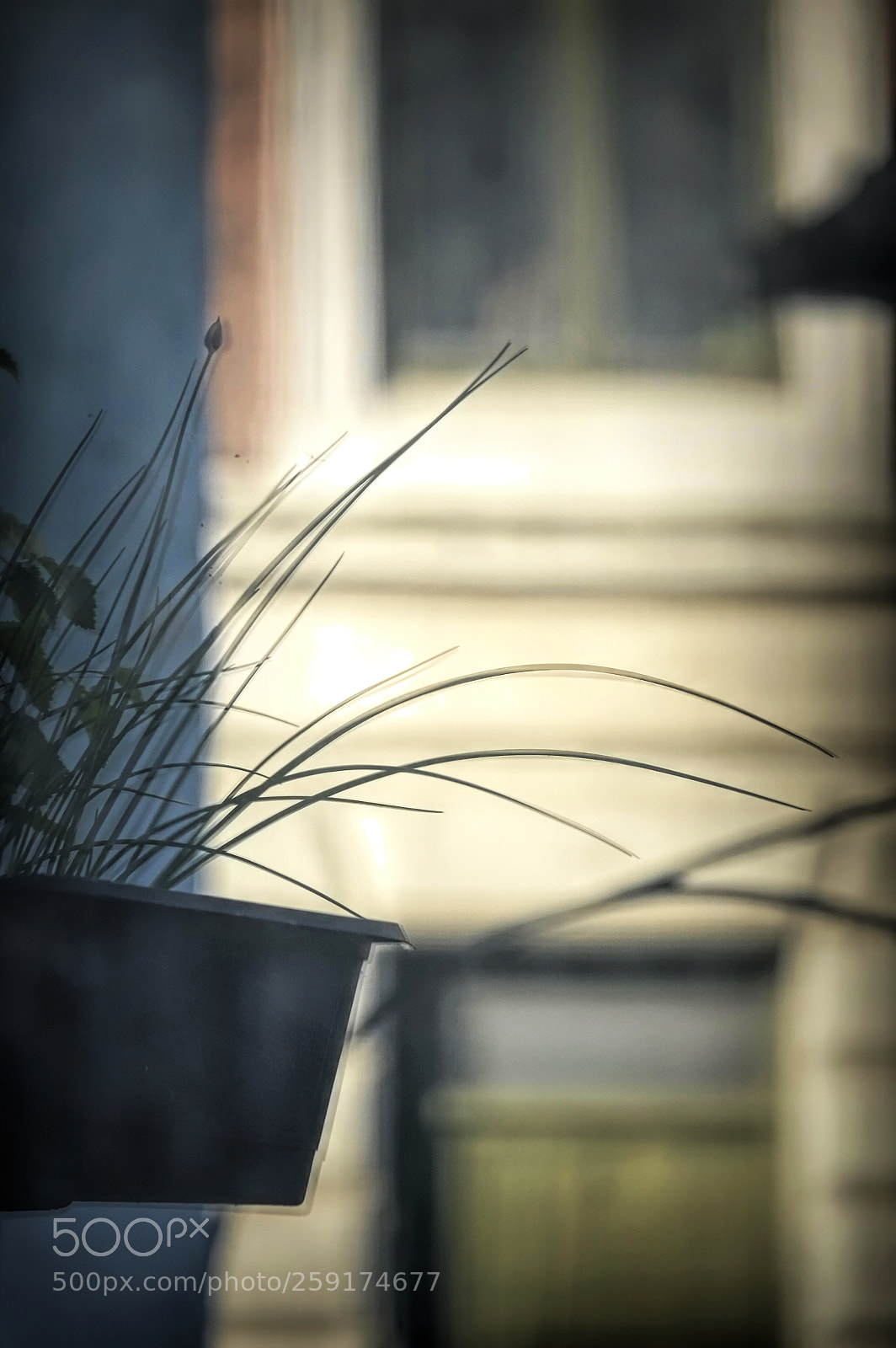 Fujifilm X-E1 sample photo. Somewhere in denmark photography
