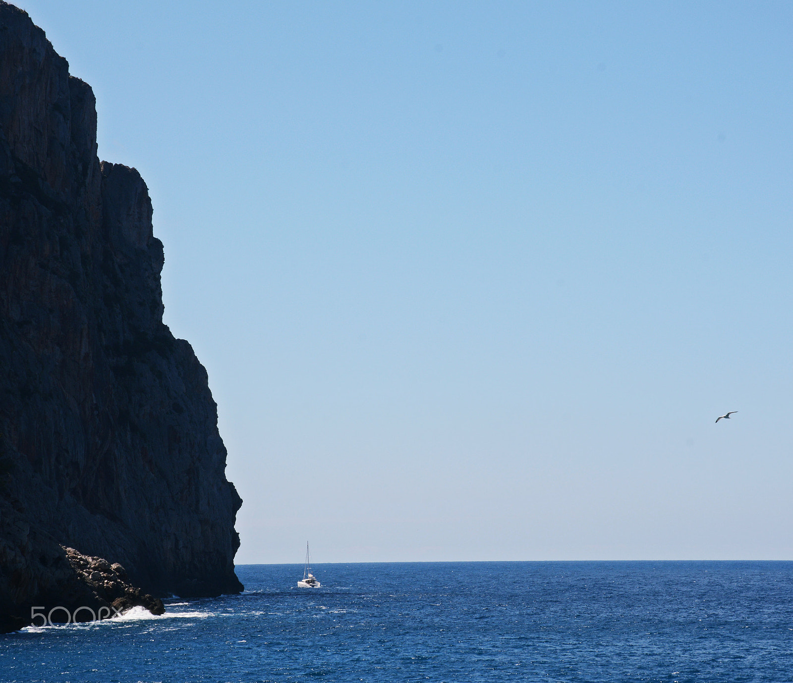 Nikon D7100 sample photo. Seagul & the sailing boat photography