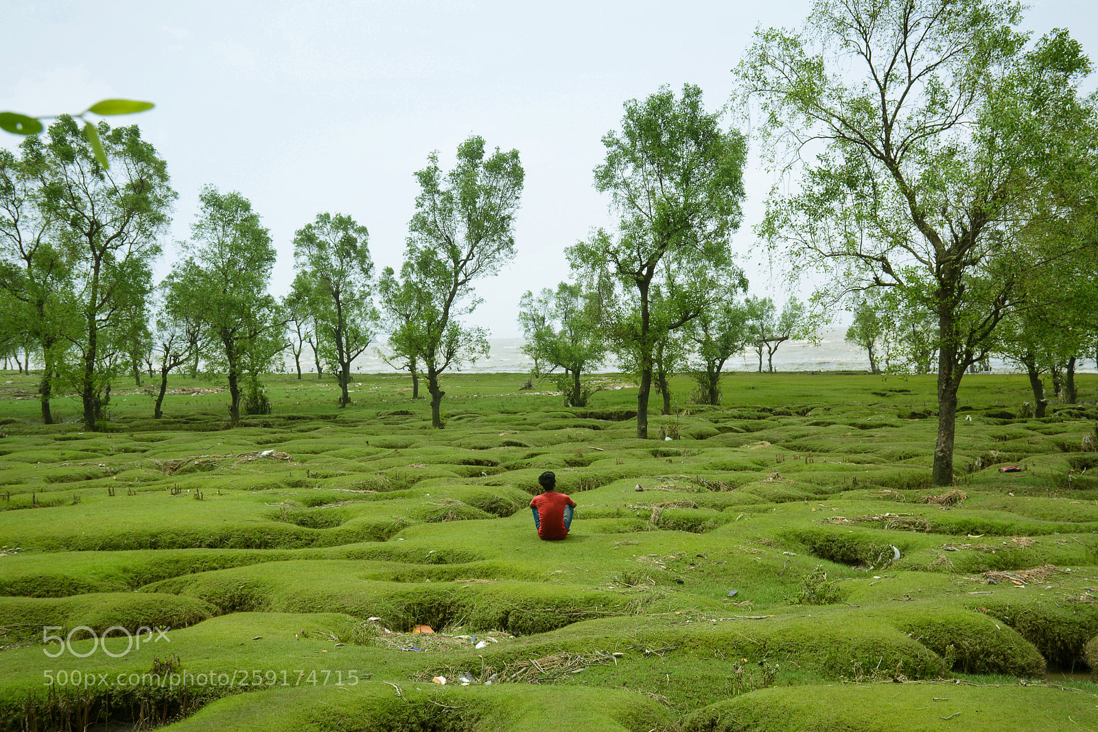 Nikon D7100 sample photo. Feel the nature photography
