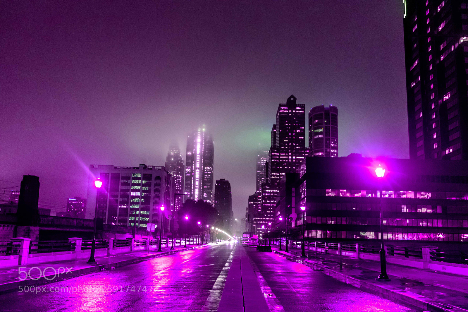 Canon EOS 6D Mark II sample photo. Purple rain photography