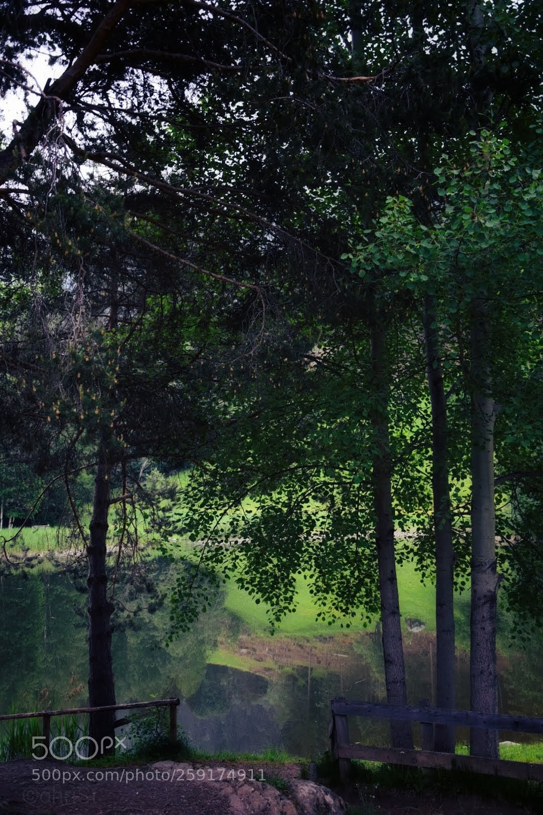 Nikon D5300 sample photo. Untitled photography