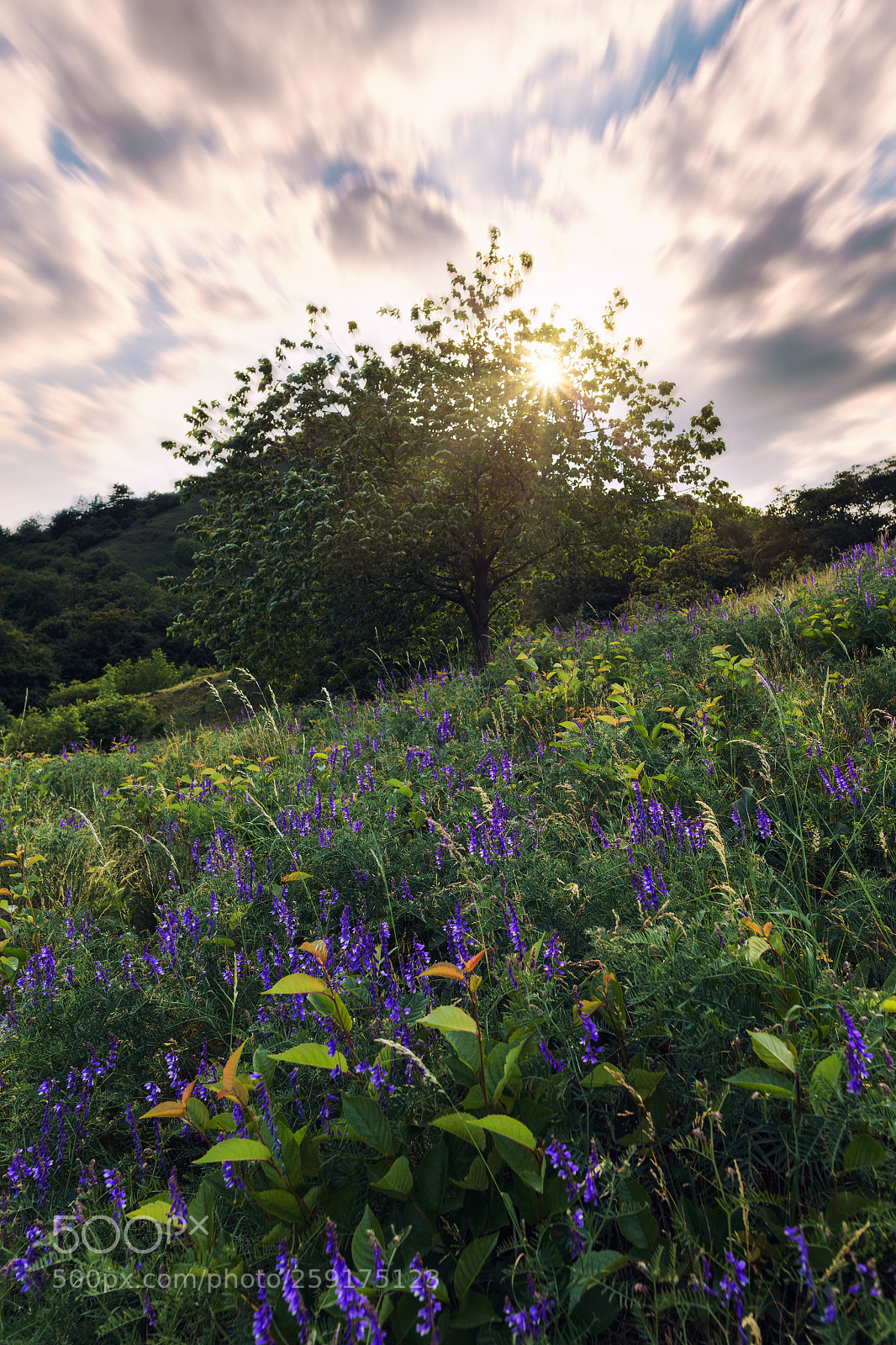 Nikon D610 sample photo. Uhost hill photography