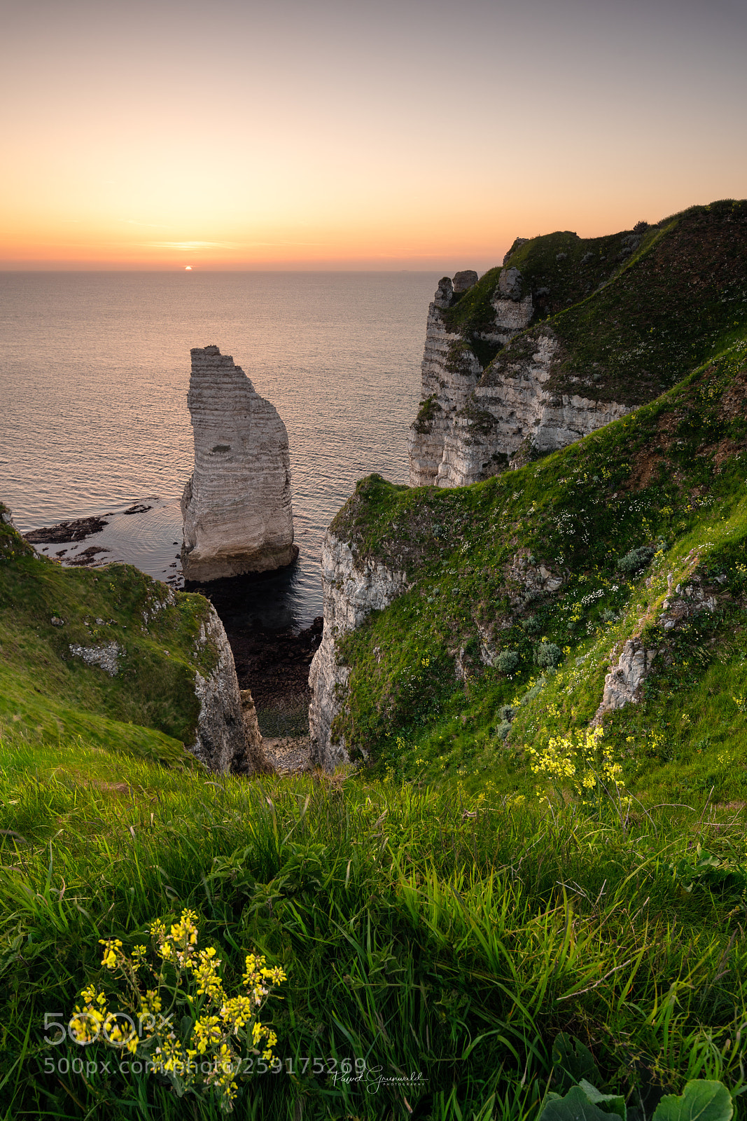 Nikon D810 sample photo. Etretat sunset photography