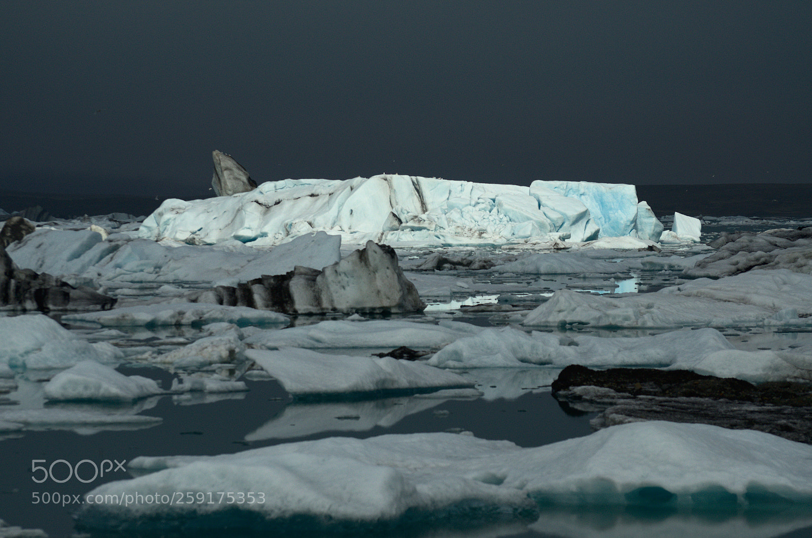 Nikon D7000 sample photo. Ice photography