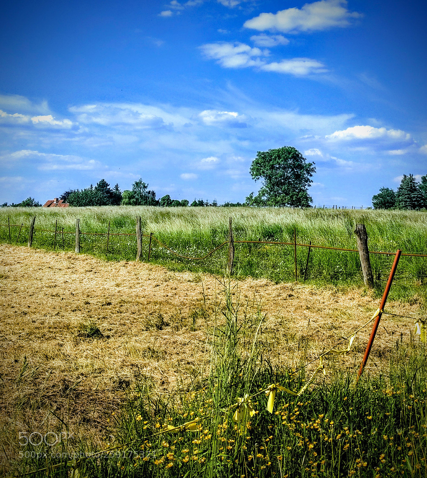 Motorola Moto G (4) sample photo. Eilsleben, wiese photography