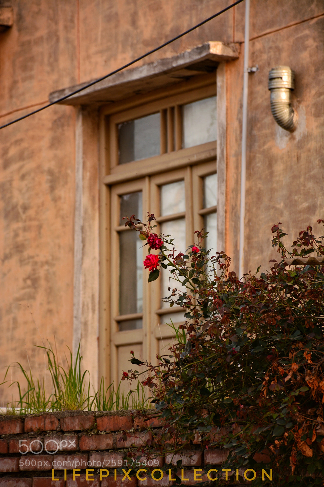 Nikon D7100 sample photo. Once upon a time photography