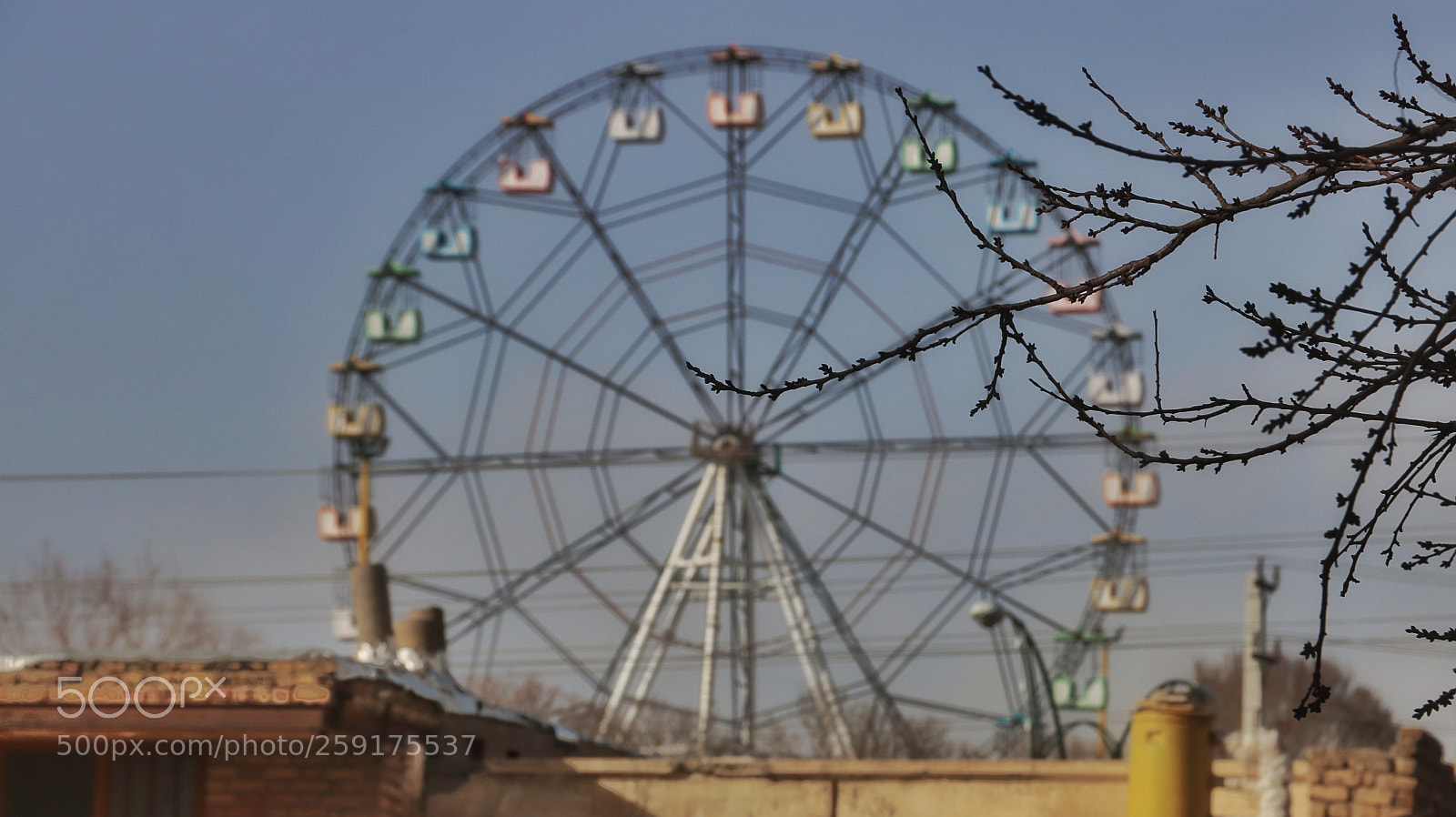 Canon EOS 760D (EOS Rebel T6s / EOS 8000D) sample photo. Marry come photography