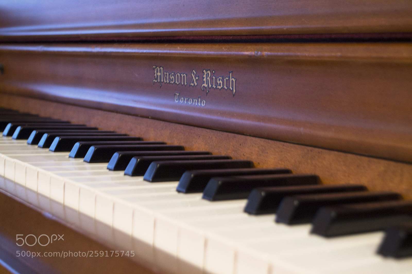 Nikon D3100 sample photo. Music and the art photography