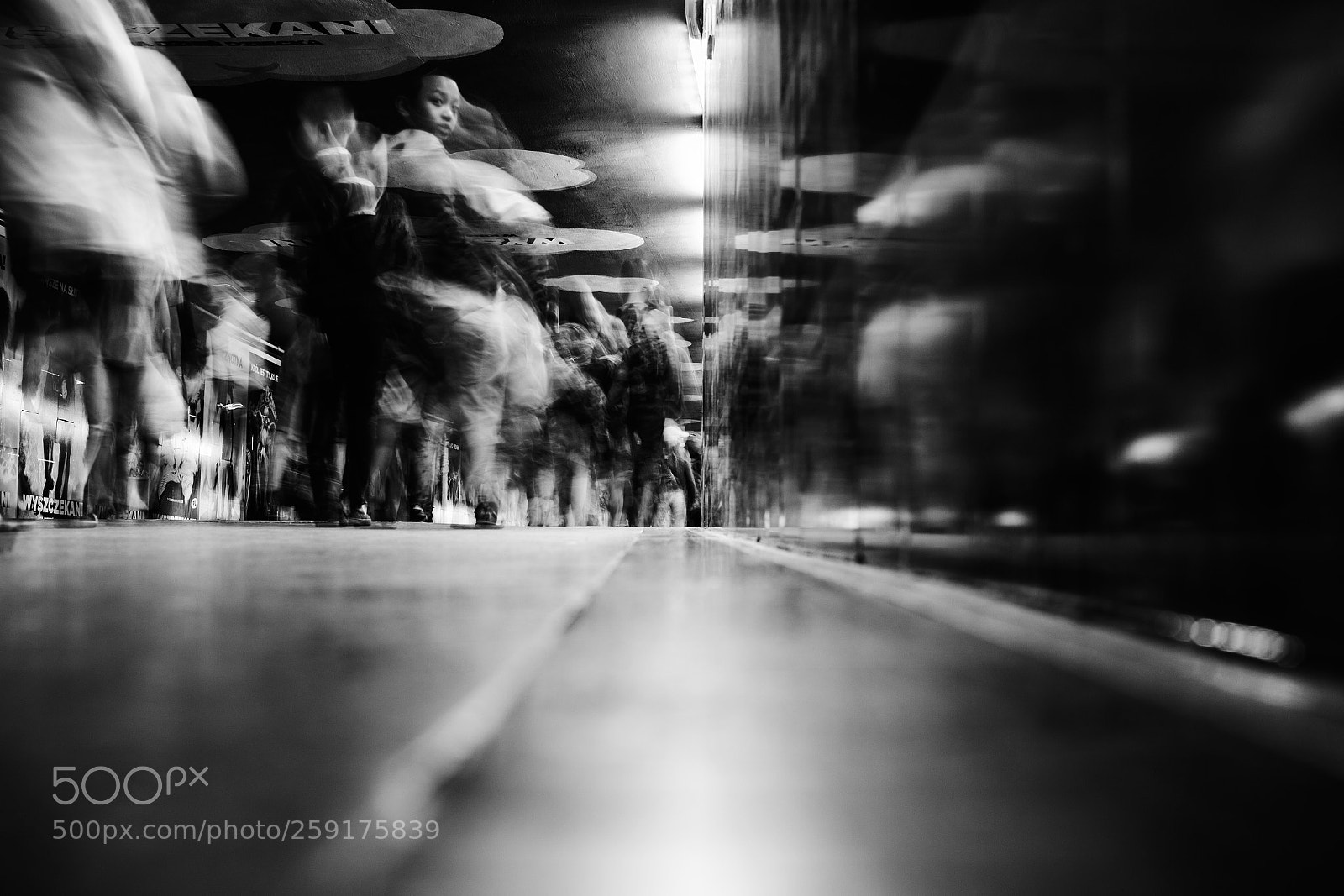Canon EOS 6D Mark II sample photo. Swarm 264/365 photography