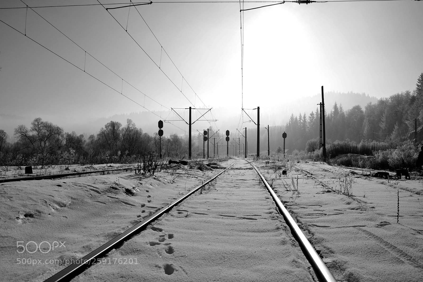Nikon D3100 sample photo. Untitled photography