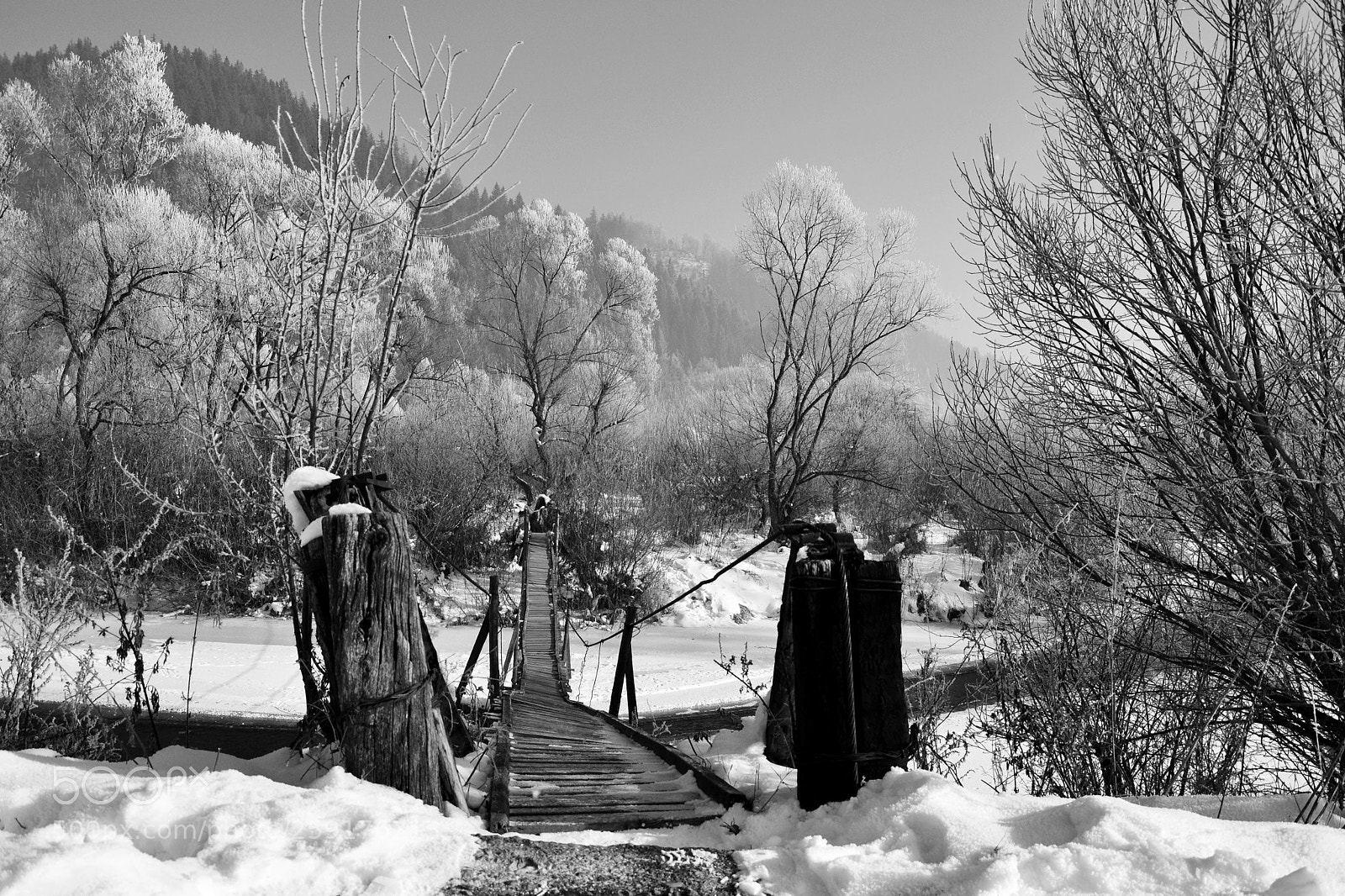Nikon D3100 sample photo. Untitled photography