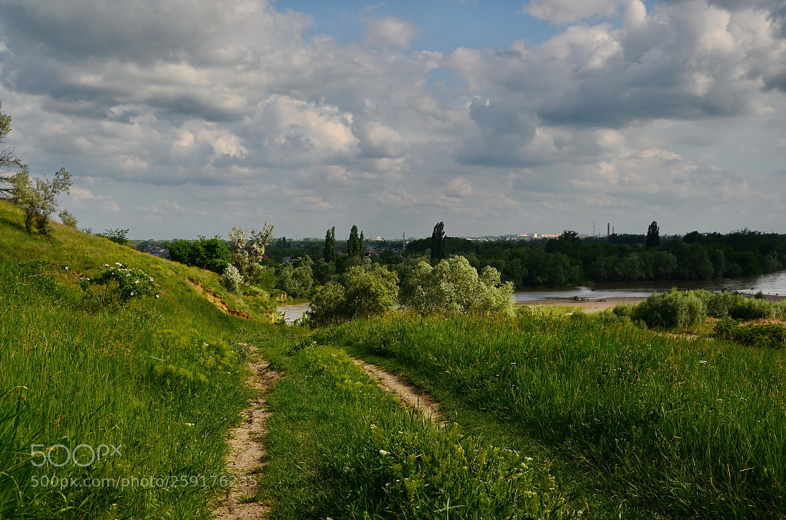 Nikon D5100 sample photo. Untitled photography
